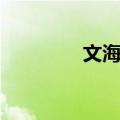 文海村（关于文海村简介）