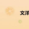 文洋村（关于文洋村简介）