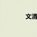文清林（关于文清林简介）