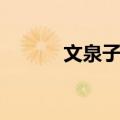 文泉子集（关于文泉子集简介）