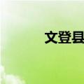 文登县志（关于文登县志简介）