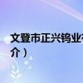 文登市正兴钨业有限公司（关于文登市正兴钨业有限公司简介）