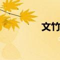 文竹镇（关于文竹镇简介）