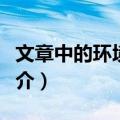 文章中的环境描写（关于文章中的环境描写简介）