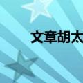 文章胡太后（关于文章胡太后简介）