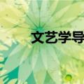 文艺学导论（关于文艺学导论简介）