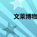 文莱博物馆（关于文莱博物馆简介）