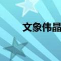 文象伟晶岩（关于文象伟晶岩简介）
