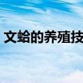 文蛤的养殖技术（关于文蛤的养殖技术简介）