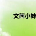 文茜小妹大（关于文茜小妹大简介）