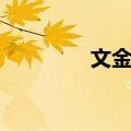 文金川（关于文金川简介）