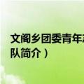 文阁乡团委青年志愿服务队（关于文阁乡团委青年志愿服务队简介）