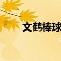 文鹤棒球场（关于文鹤棒球场简介）
