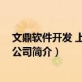 文鼎软件开发 上海有限公司（关于文鼎软件开发 上海有限公司简介）