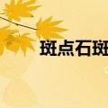 斑点石斑鱼（关于斑点石斑鱼简介）