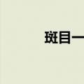 斑目一角（关于斑目一角简介）