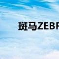 斑马ZEBRA（关于斑马ZEBRA简介）