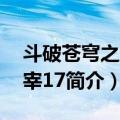 斗破苍穹之大主宰17（关于斗破苍穹之大主宰17简介）