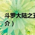 斗罗大陆之五行石（关于斗罗大陆之五行石简介）