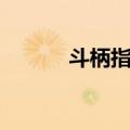 斗柄指东（关于斗柄指东简介）