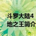 斗罗大陆4：大地之王（关于斗罗大陆4：大地之王简介）