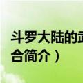 斗罗大陆的武魂集合（关于斗罗大陆的武魂集合简介）