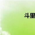 斗里镇（关于斗里镇简介）