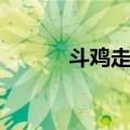 斗鸡走犬（关于斗鸡走犬简介）