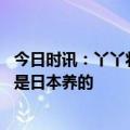 今日时讯：丫丫将通过温控卡车运至机场 丫丫是美国养的还是日本养的