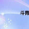 斗青春（关于斗青春简介）