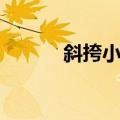 斜挎小包（关于斜挎小包简介）