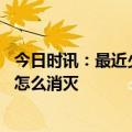 今日时讯：最近少穿黄色绿色衣服出门防小飞虫 家里小飞虫怎么消灭