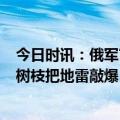 今日时讯：俄军官称缴获豹2后淹没在沼泽里 乌士兵直接抡树枝把地雷敲爆