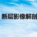 断层影像解剖学（关于断层影像解剖学简介）