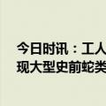 今日时讯：工人挖路挖出24公斤重大蟒蛇 广西左江流域发现大型史前蛇类遗存