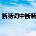 断肠词中断肠人（关于断肠词中断肠人简介）