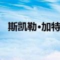 斯凯勒·加特纳（关于斯凯勒·加特纳简介）