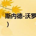 斯内德-沃罗宁娜（关于斯内德-沃罗宁娜简介）