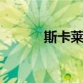斯卡莱特（关于斯卡莱特简介）