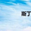 斯丁族（关于斯丁族简介）