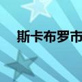 斯卡布罗市集（关于斯卡布罗市集简介）