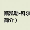 斯凯勒·科尔法克斯（关于斯凯勒·科尔法克斯简介）