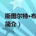 斯图尔特·布朗伯格（关于斯图尔特·布朗伯格简介）