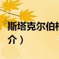 斯塔克尔伯格模型（关于斯塔克尔伯格模型简介）