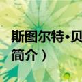 斯图尔特·贝亚蒂耶（关于斯图尔特·贝亚蒂耶简介）