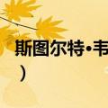 斯图尔特·韦茨曼（关于斯图尔特·韦茨曼简介）
