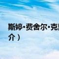 斯婷·费舍尔·克里斯滕森（关于斯婷·费舍尔·克里斯滕森简介）