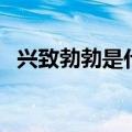 兴致勃勃是什么意思（兴致勃勃是啥意思）