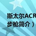 斯太尔ACR战斗步枪（关于斯太尔ACR战斗步枪简介）
