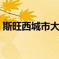 斯旺西城市大学（关于斯旺西城市大学简介）